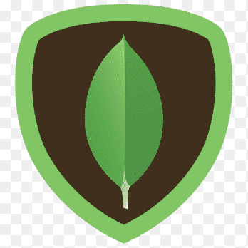 MongoDB